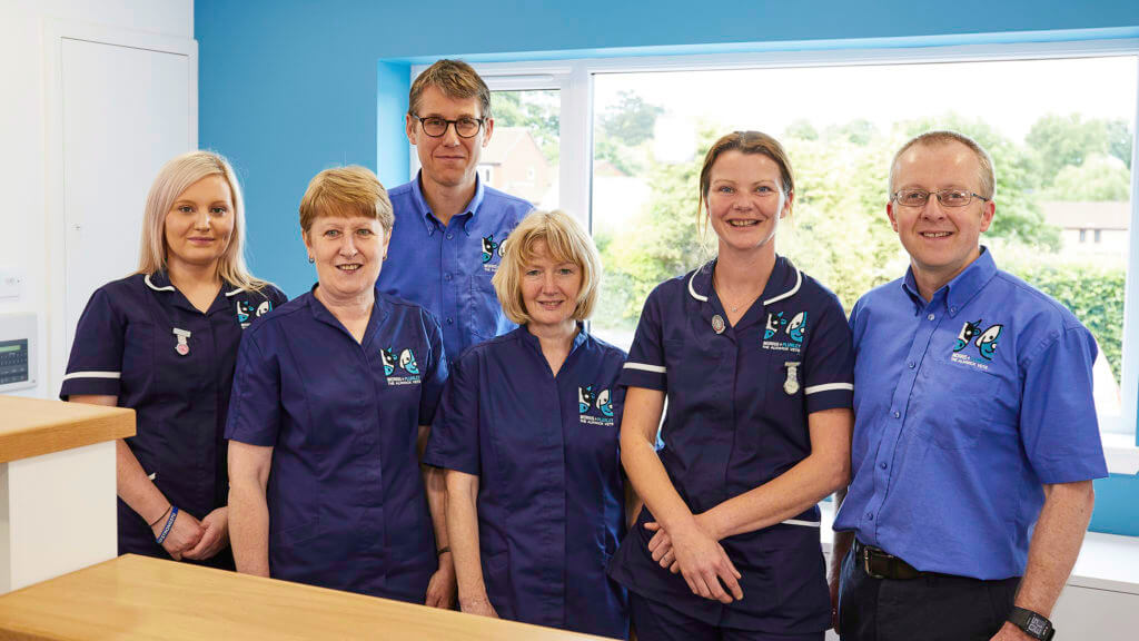 Morris & Plumley Vets in Alnwick Northumberland.